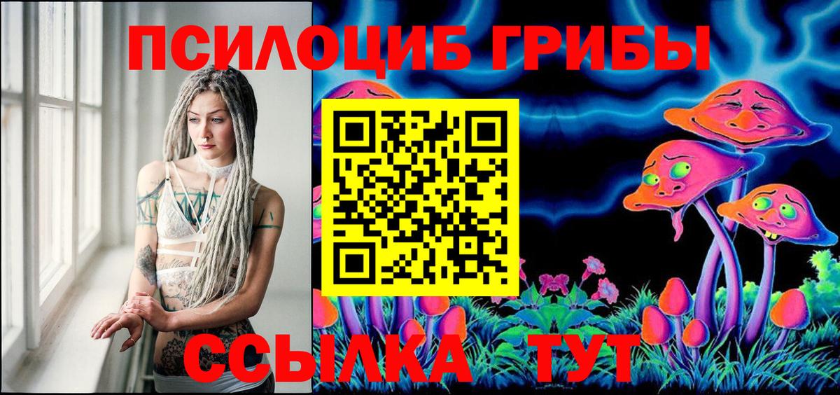 Псилоцибиновые грибы мицелий  Вход с VPN  Сертолово  Псилоцибиновые грибы Psilocybine cubensis 