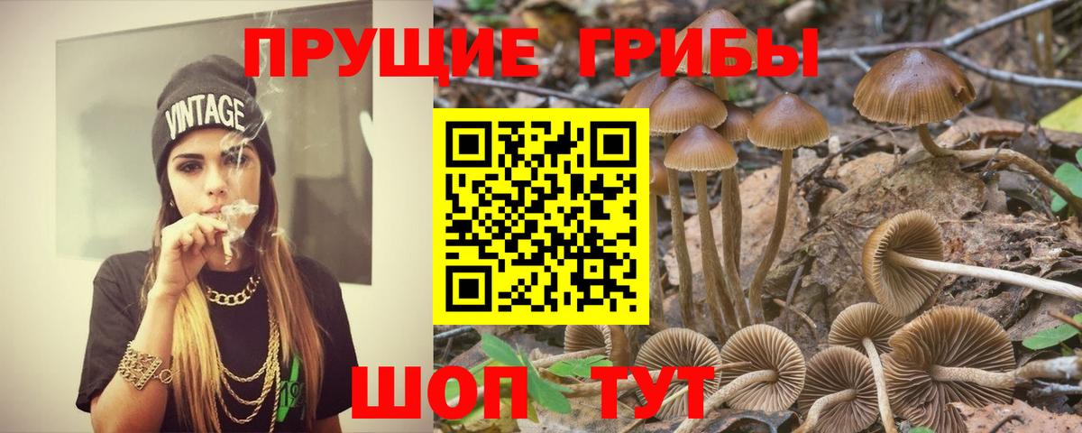 Псилоцибиновые грибы ЛСД Сертолово